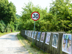 20 ikona